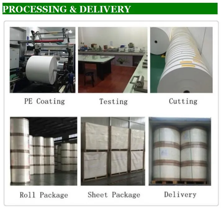 170-450GSM Chenming/Bohui/APP Fbb/C1s Ivory Board