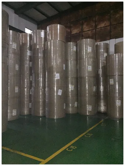 Chenming Fbb Chenming Folding Box Board Ivory Board